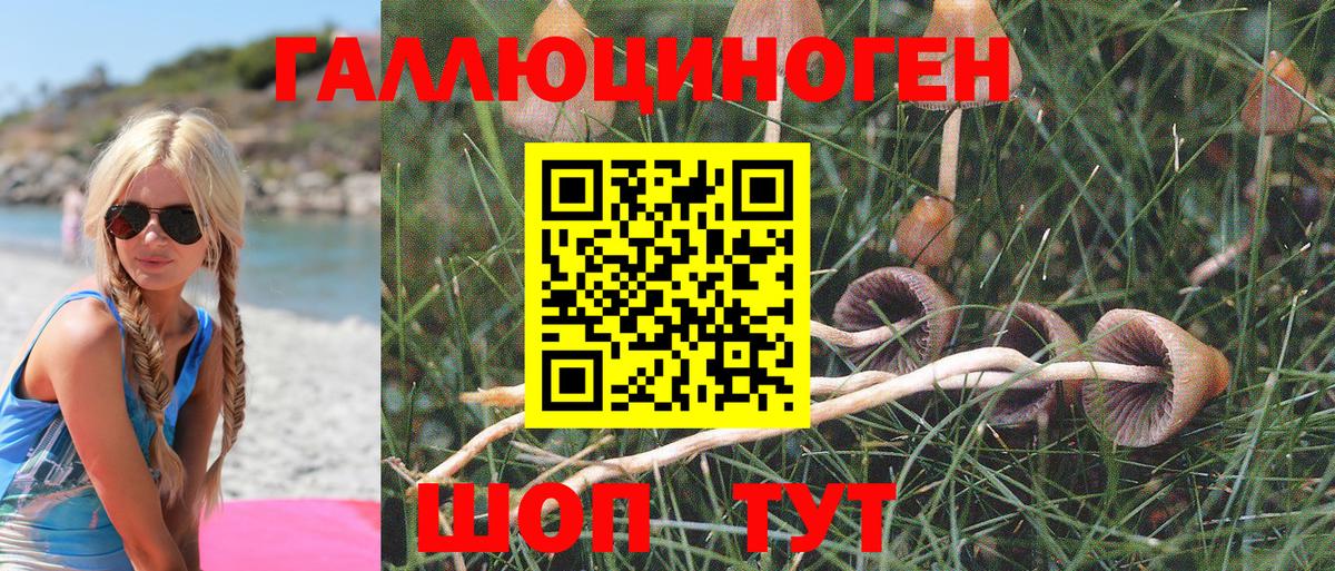 Псилоцибиновые грибы Psilocybe Кушва